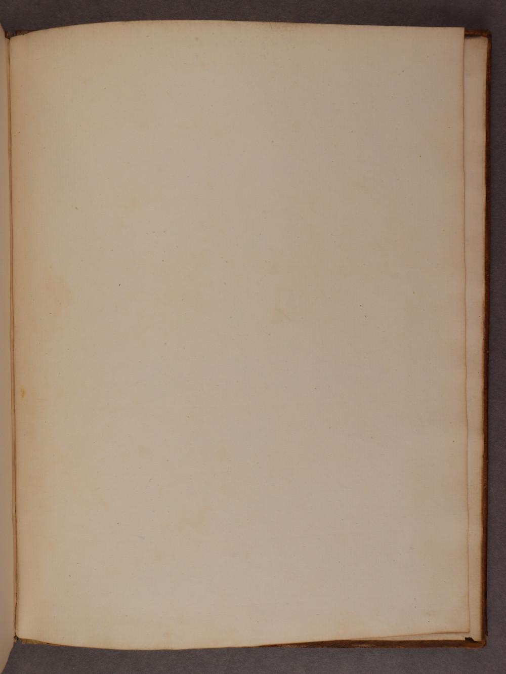 Folio 89 recto