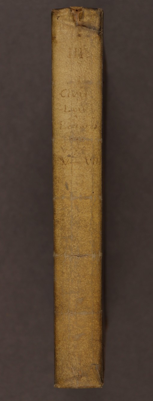 Spine