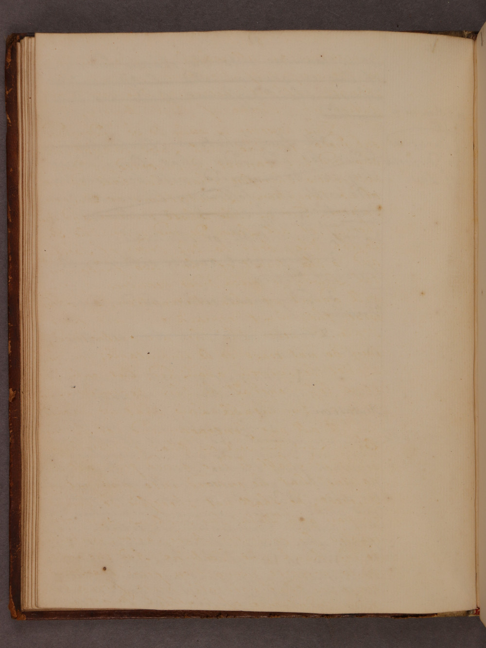 Folio 11 verso