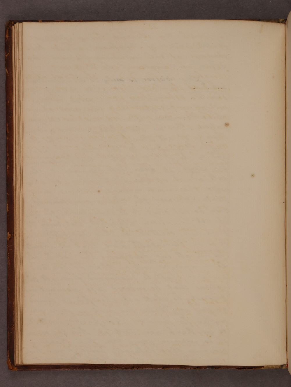 Folio 12 verso