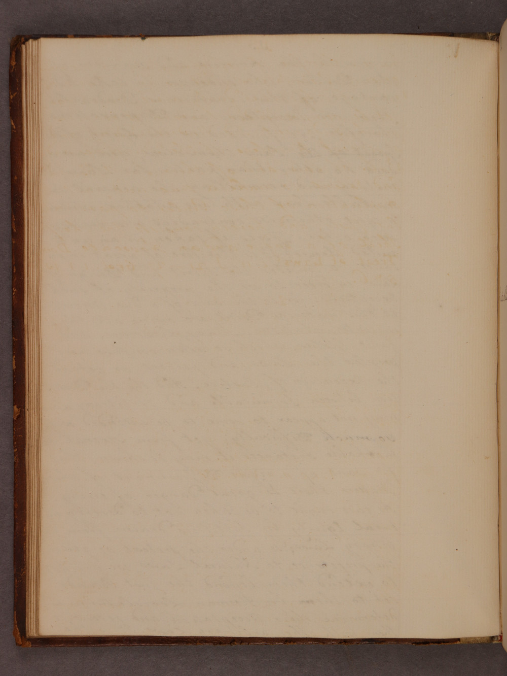 Folio 13 verso