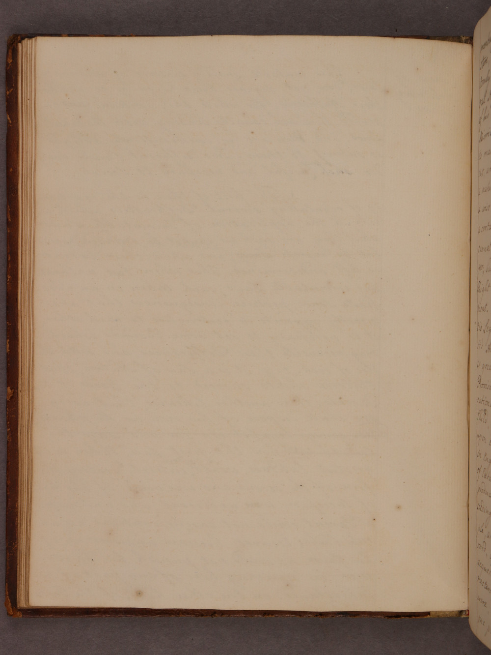Folio 15 verso