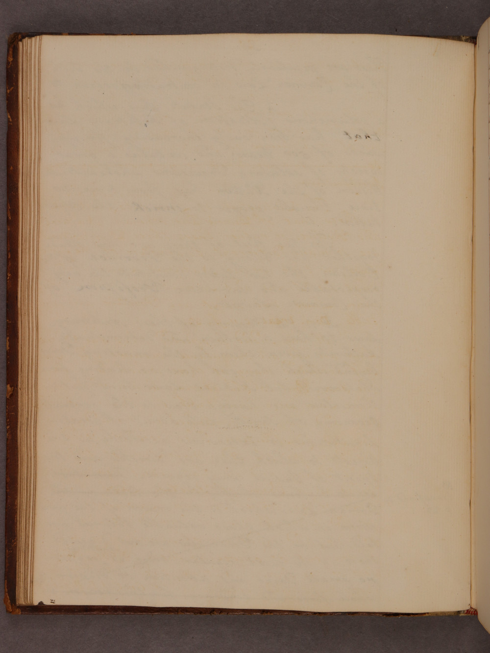 Folio 19 verso