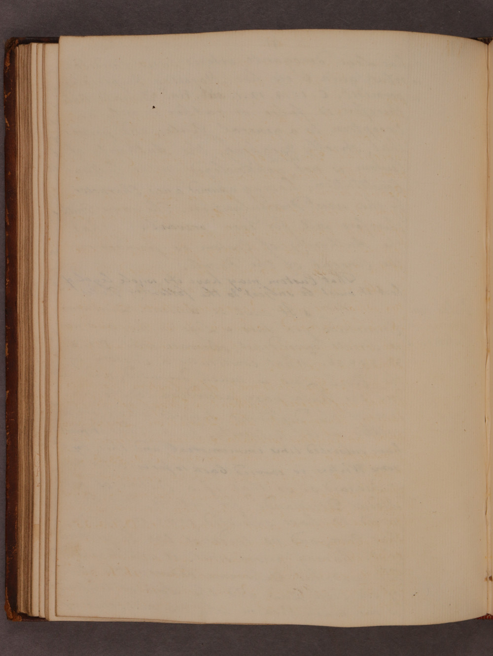 Folio 41 verso