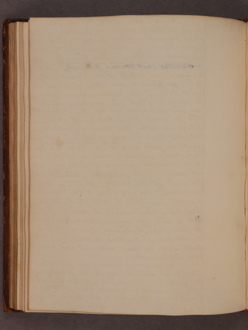 Folio 43 verso