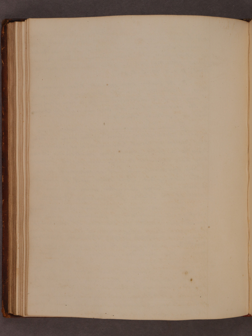 Folio 45 verso