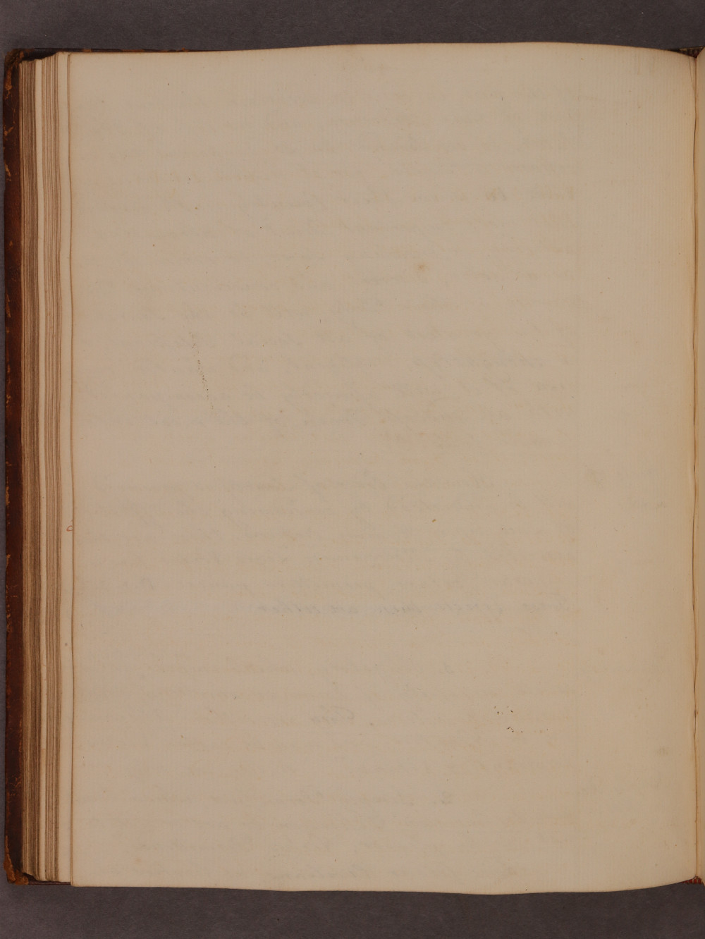 Folio 48 verso