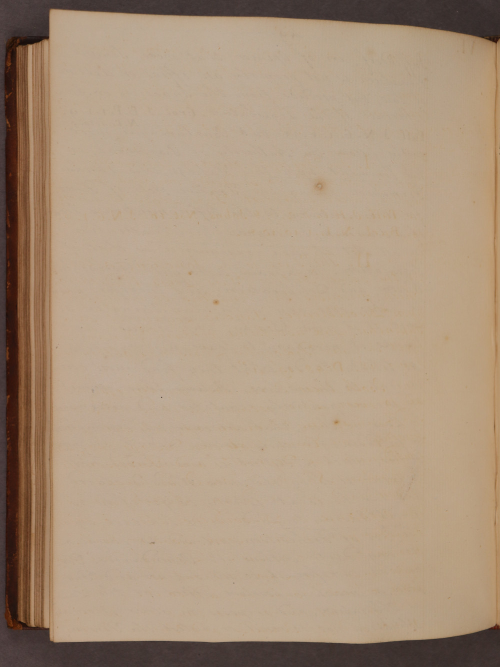 Folio 49 verso
