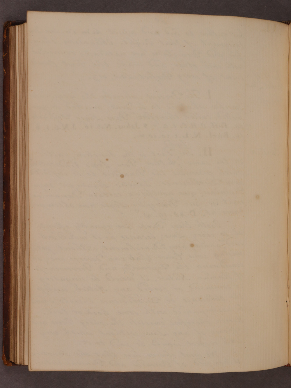 Folio 50 verso