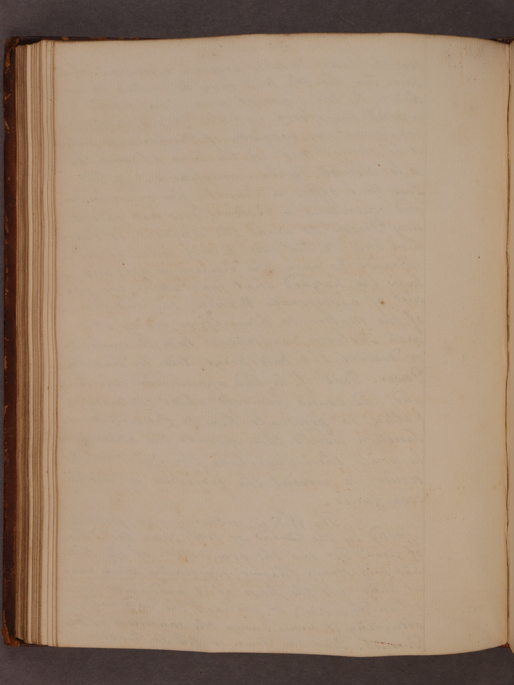 Folio 51 verso