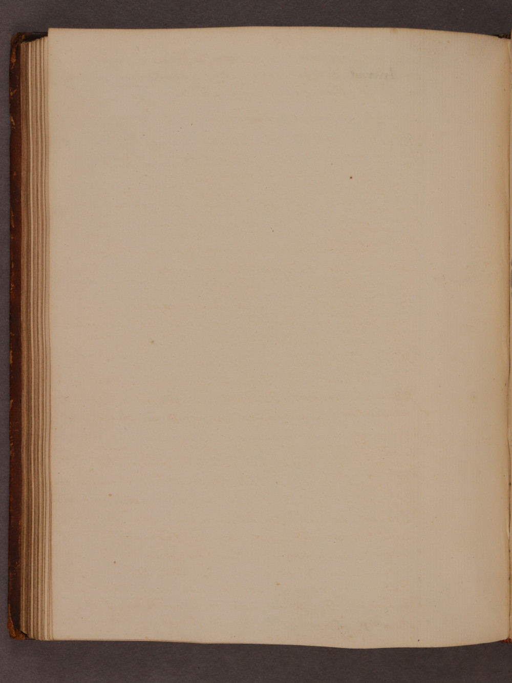 Folio 58 verso