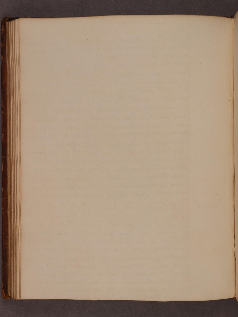 Folio 59 verso