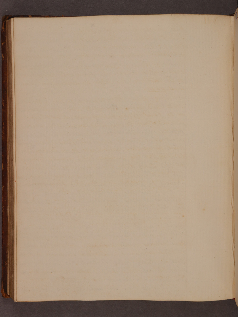 Folio 81 verso