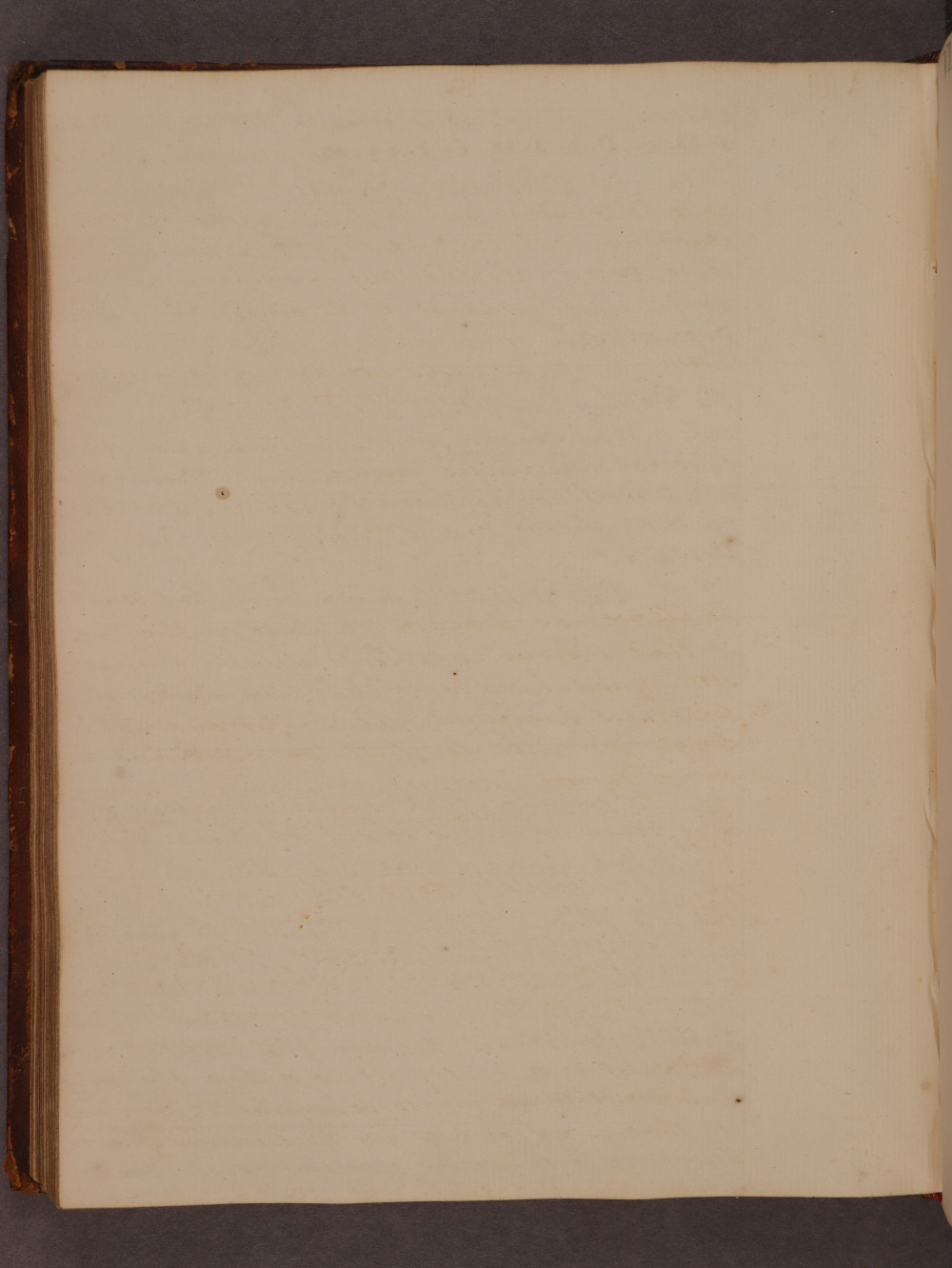 Folio 84 verso
