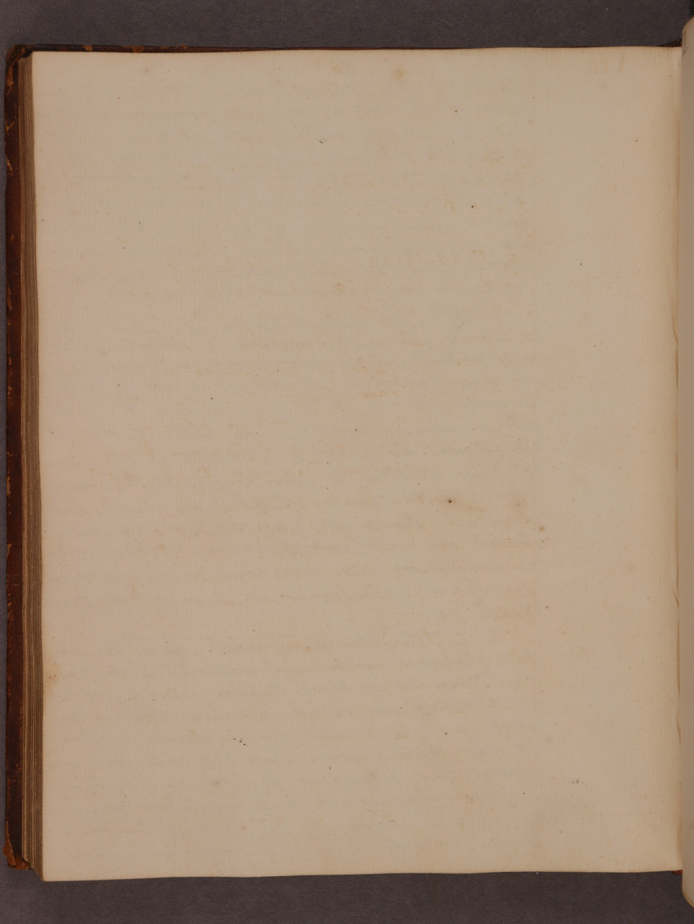 Folio 85 verso