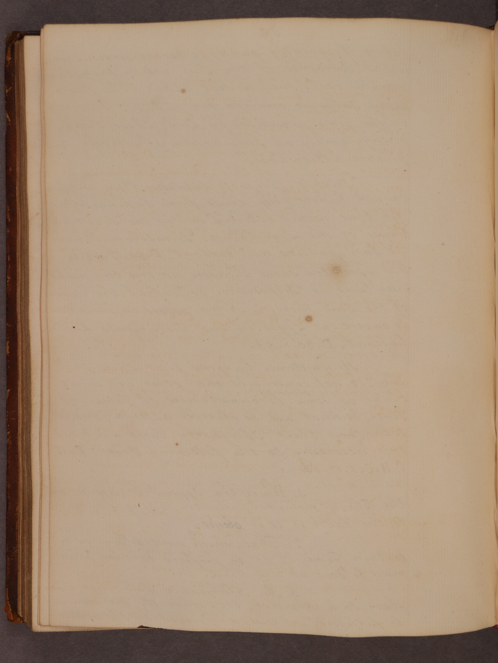 Folio 89 verso