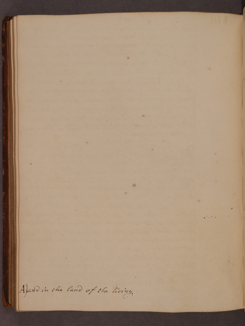 Folio 106 verso