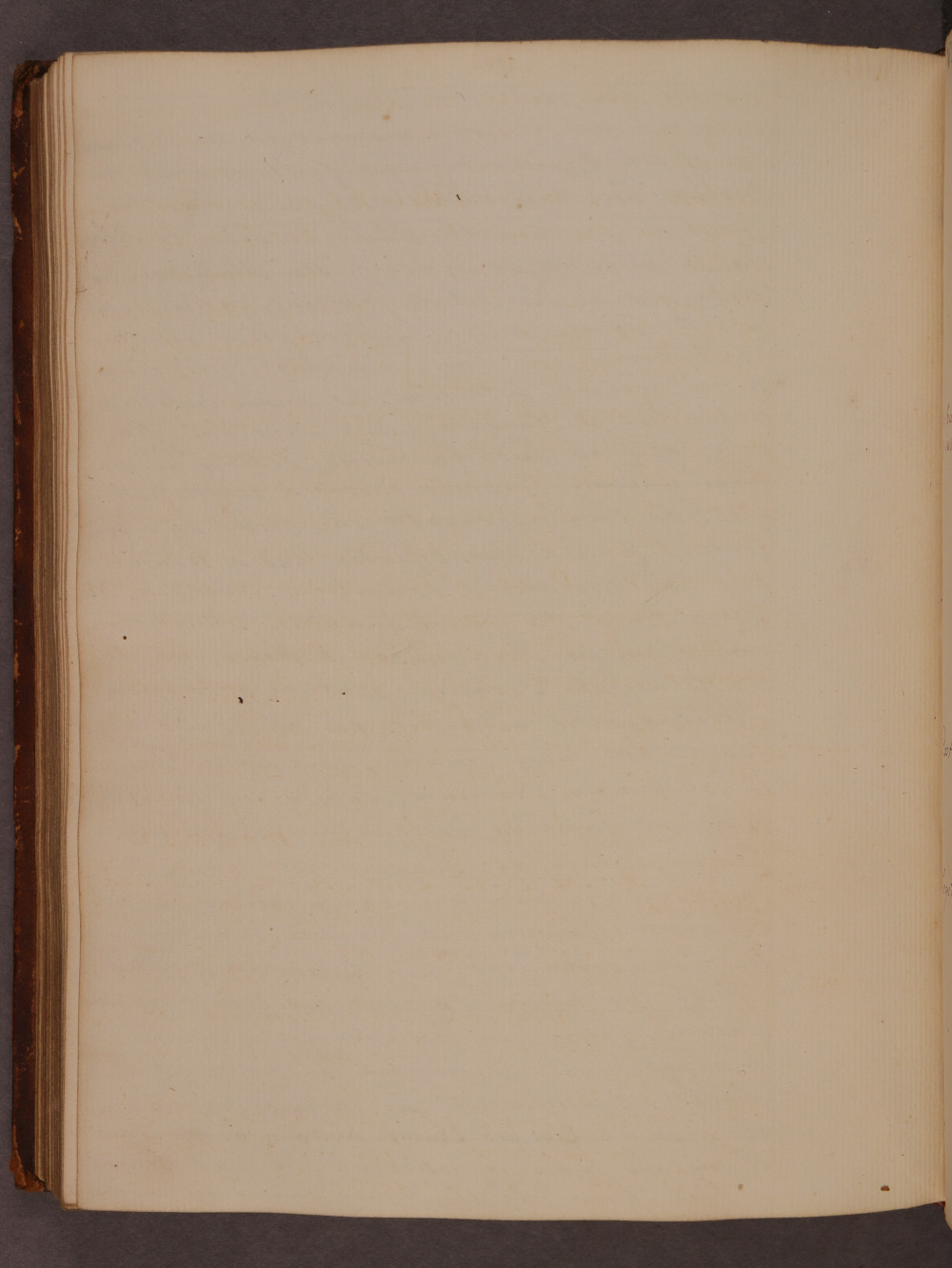 Folio 111 verso