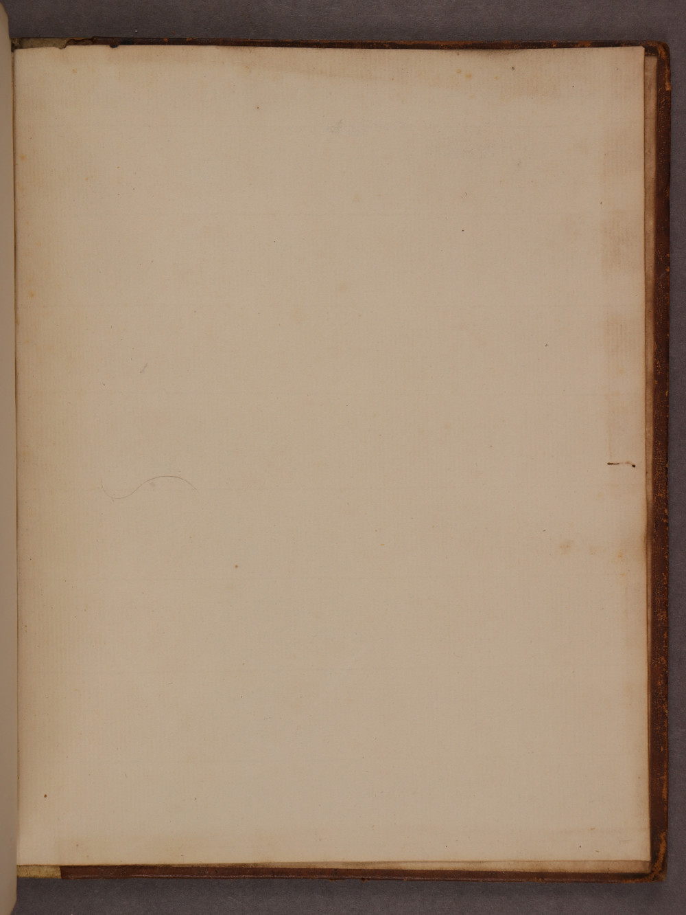 Folio 137 recto
