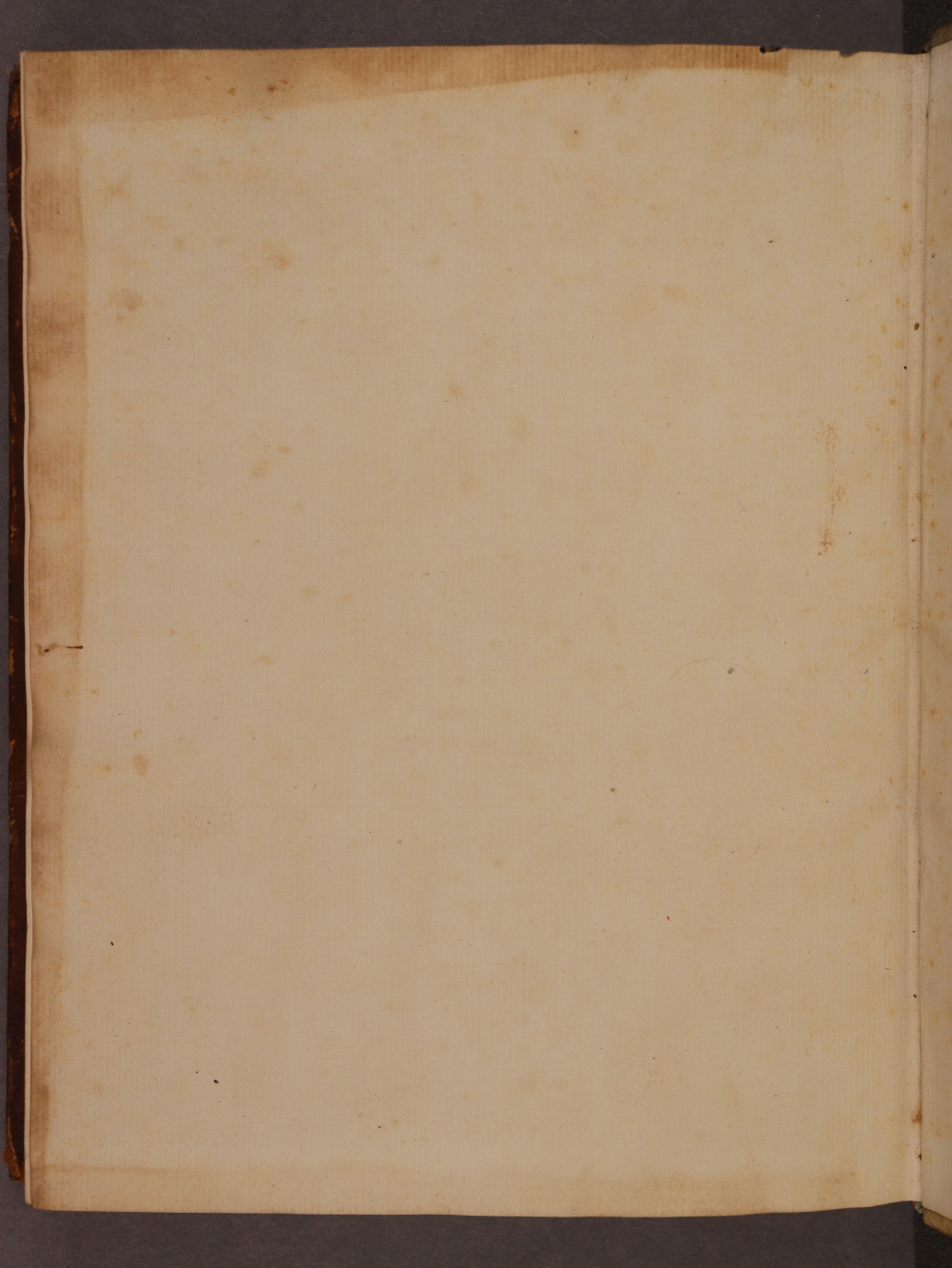 Folio 137 verso