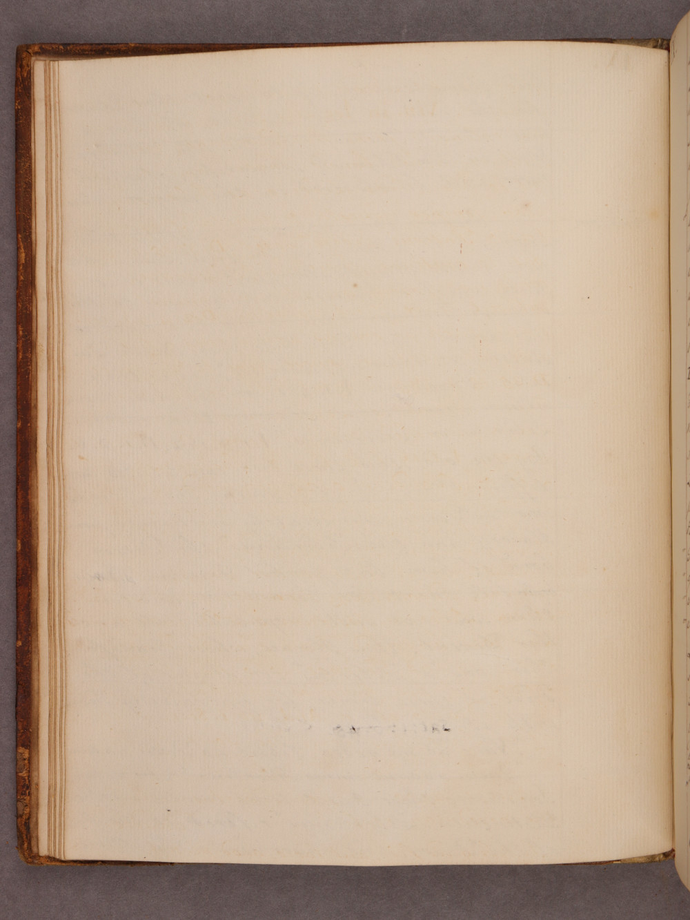 Folio 6 verso