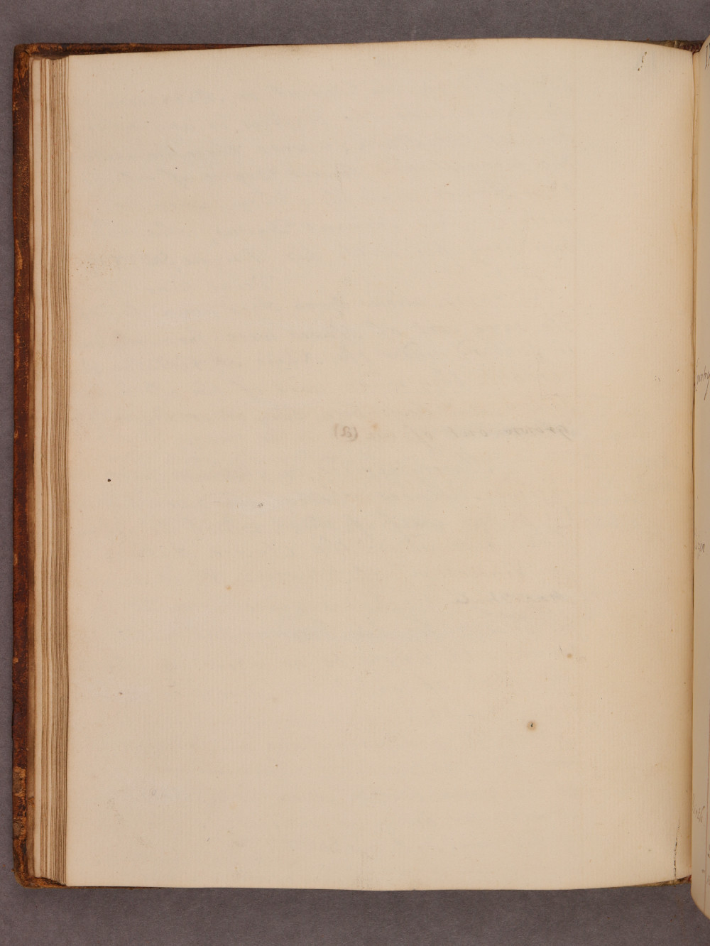 Folio 18 verso