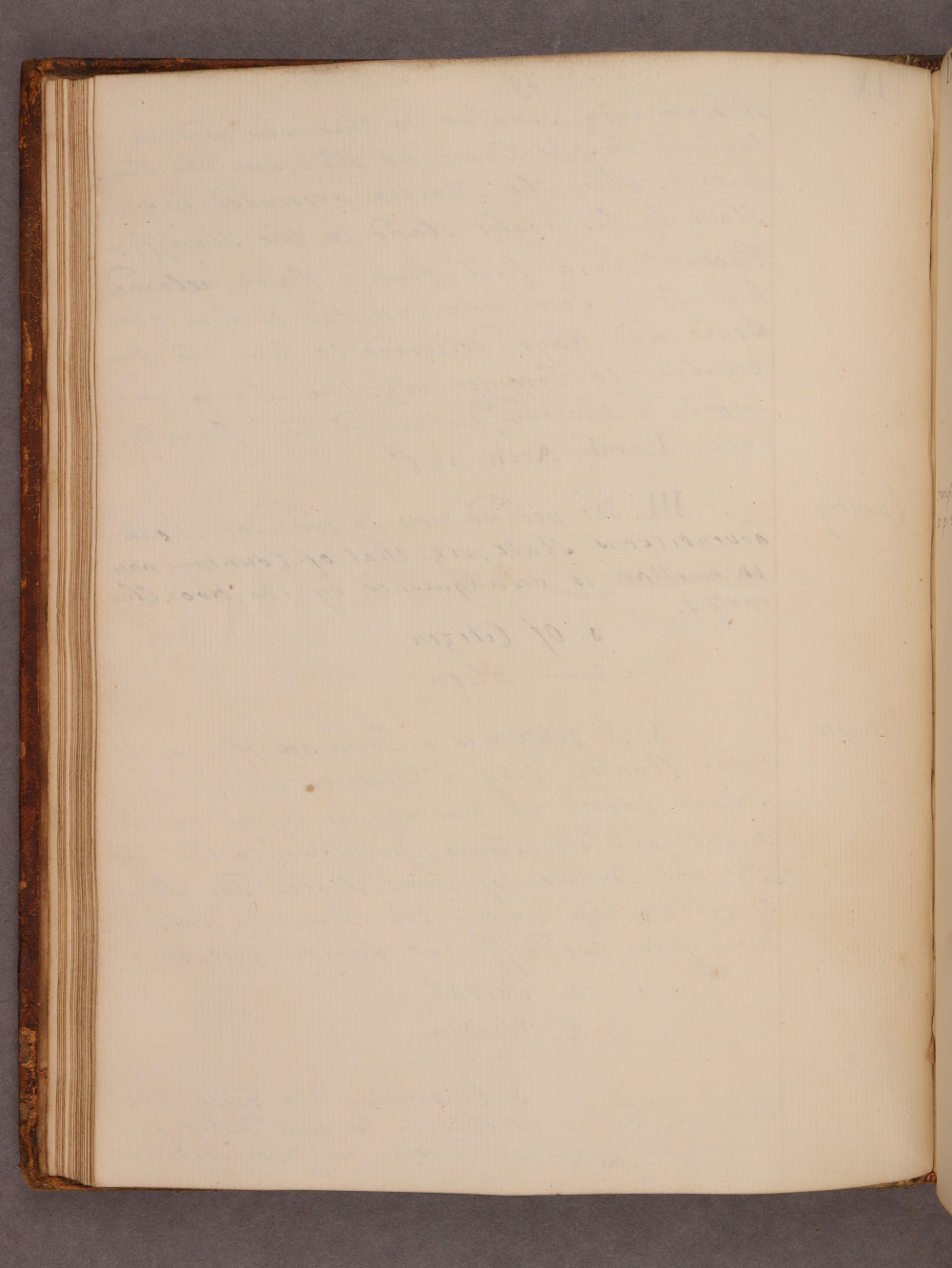 Folio 19 verso