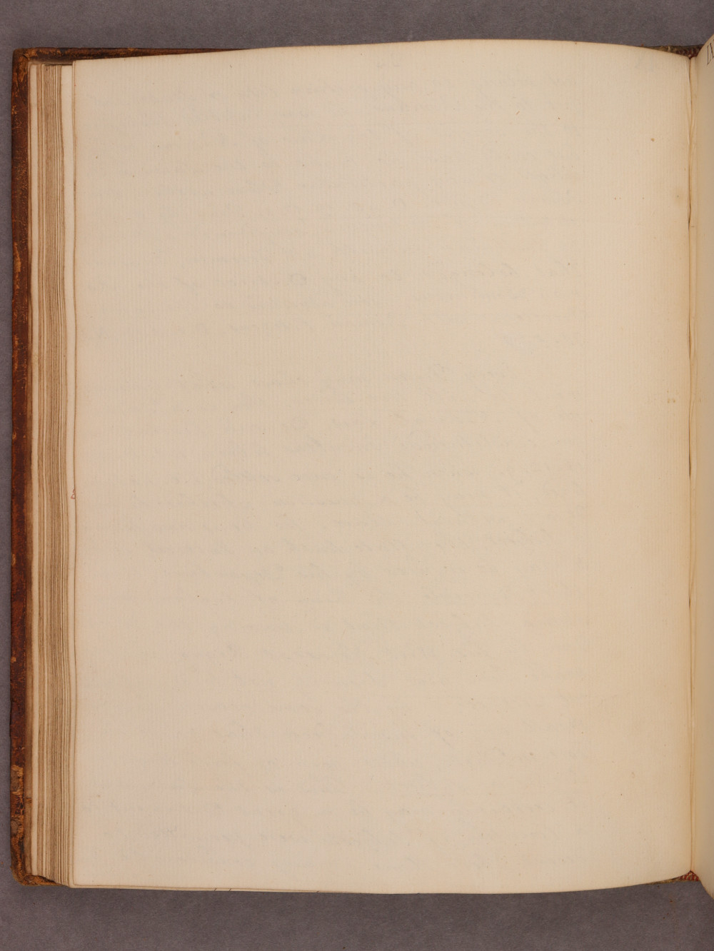 Folio 24 verso