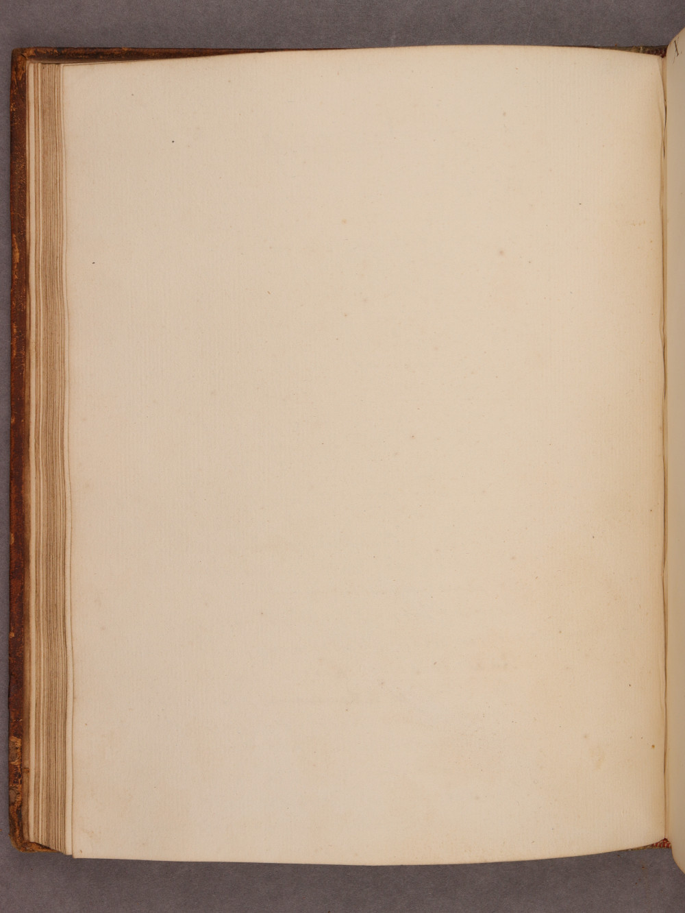 Folio 29 verso