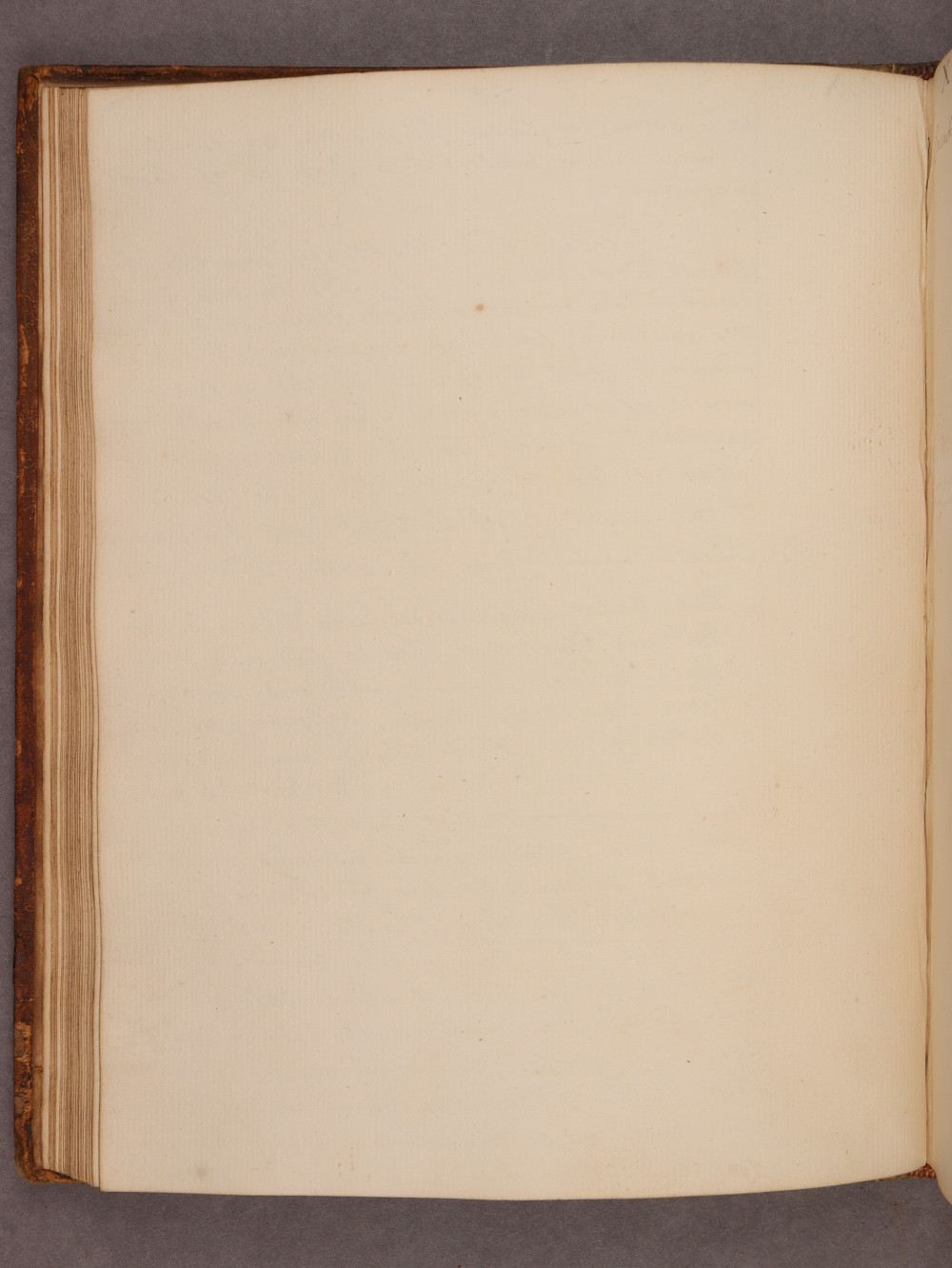 Folio 30 verso