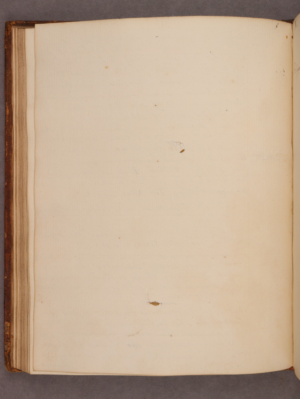 Folio 31 verso
