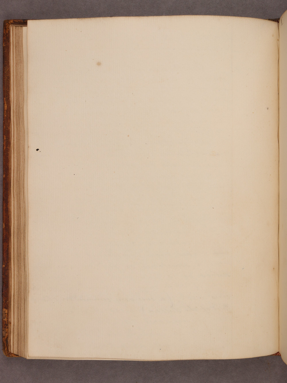 Folio 32 verso