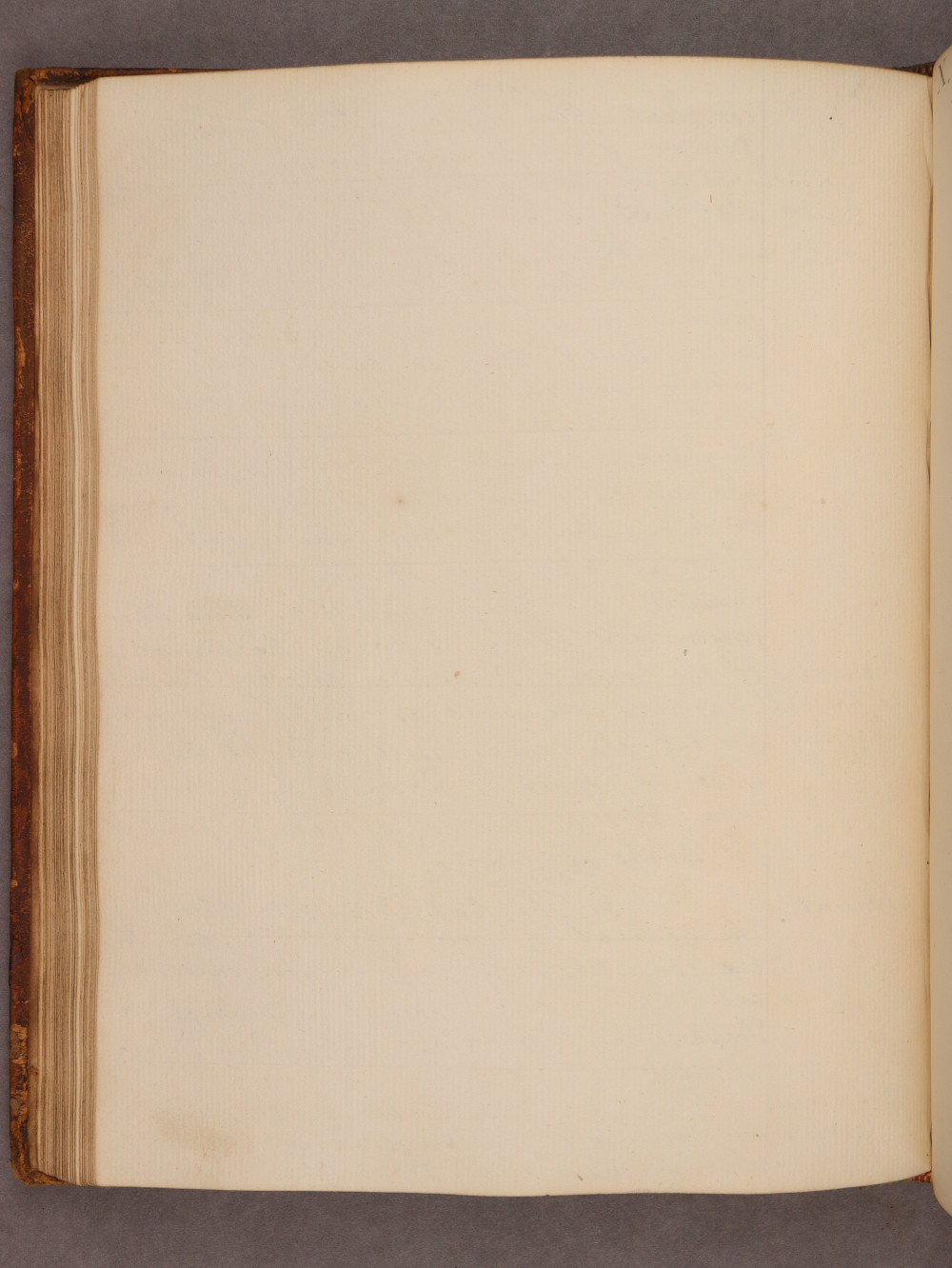 Folio 44 verso
