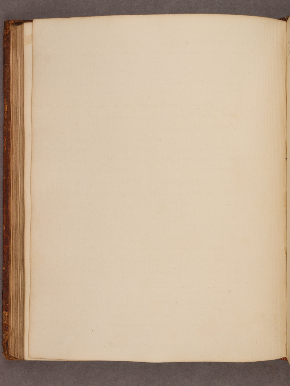 Folio 55 verso