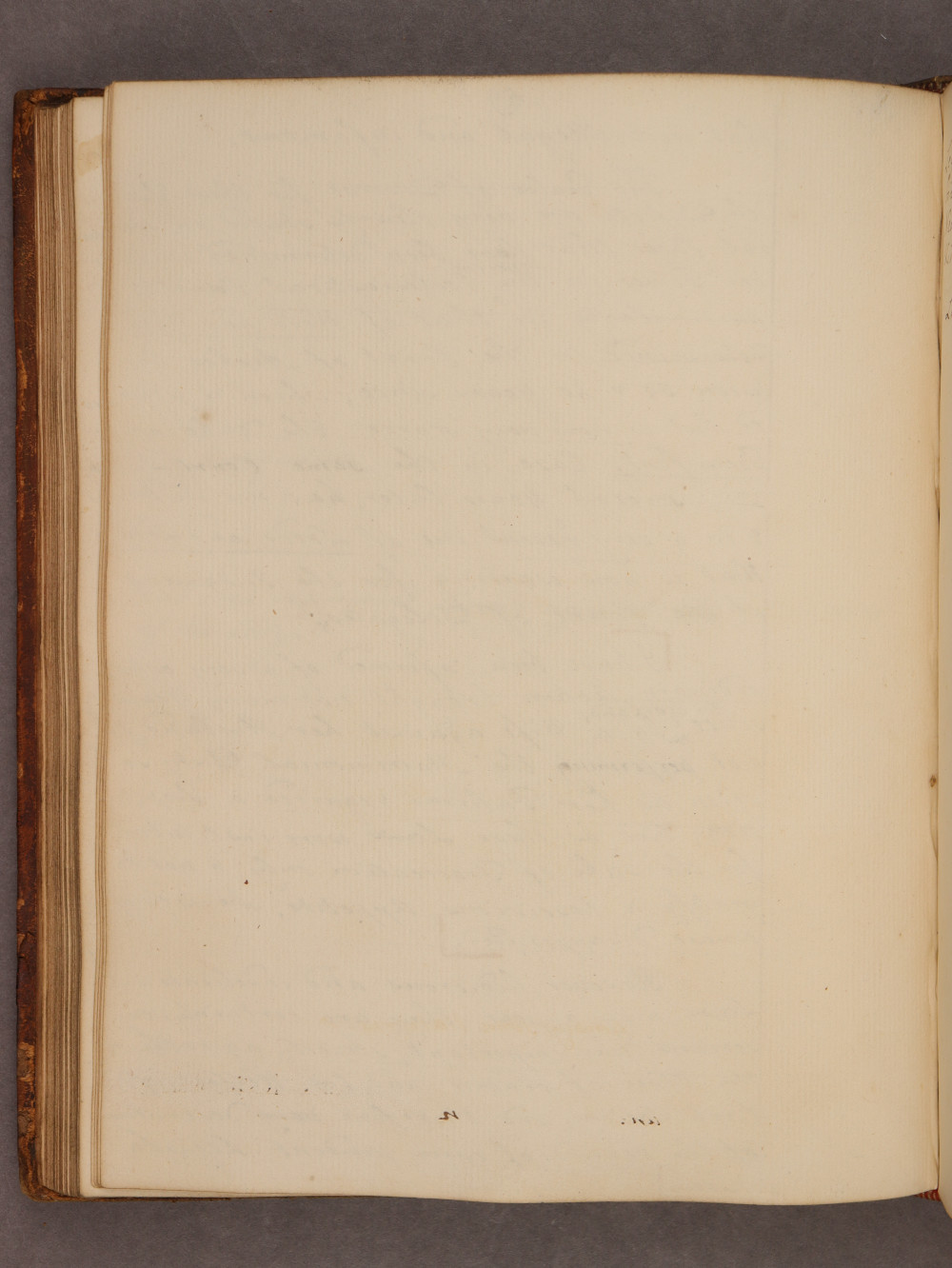 Folio 59 verso