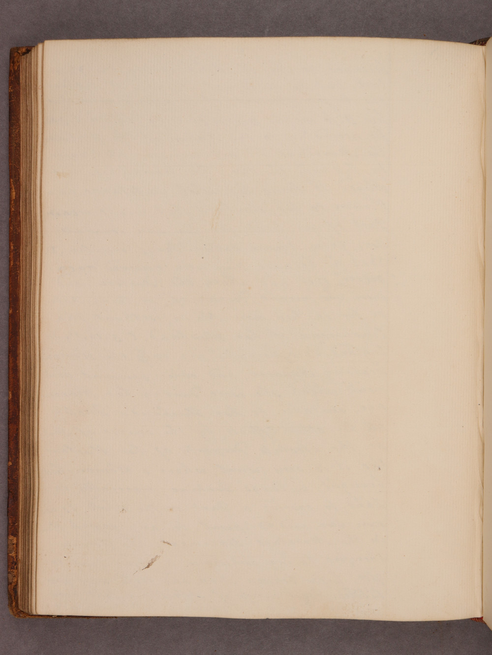 Folio 76 verso