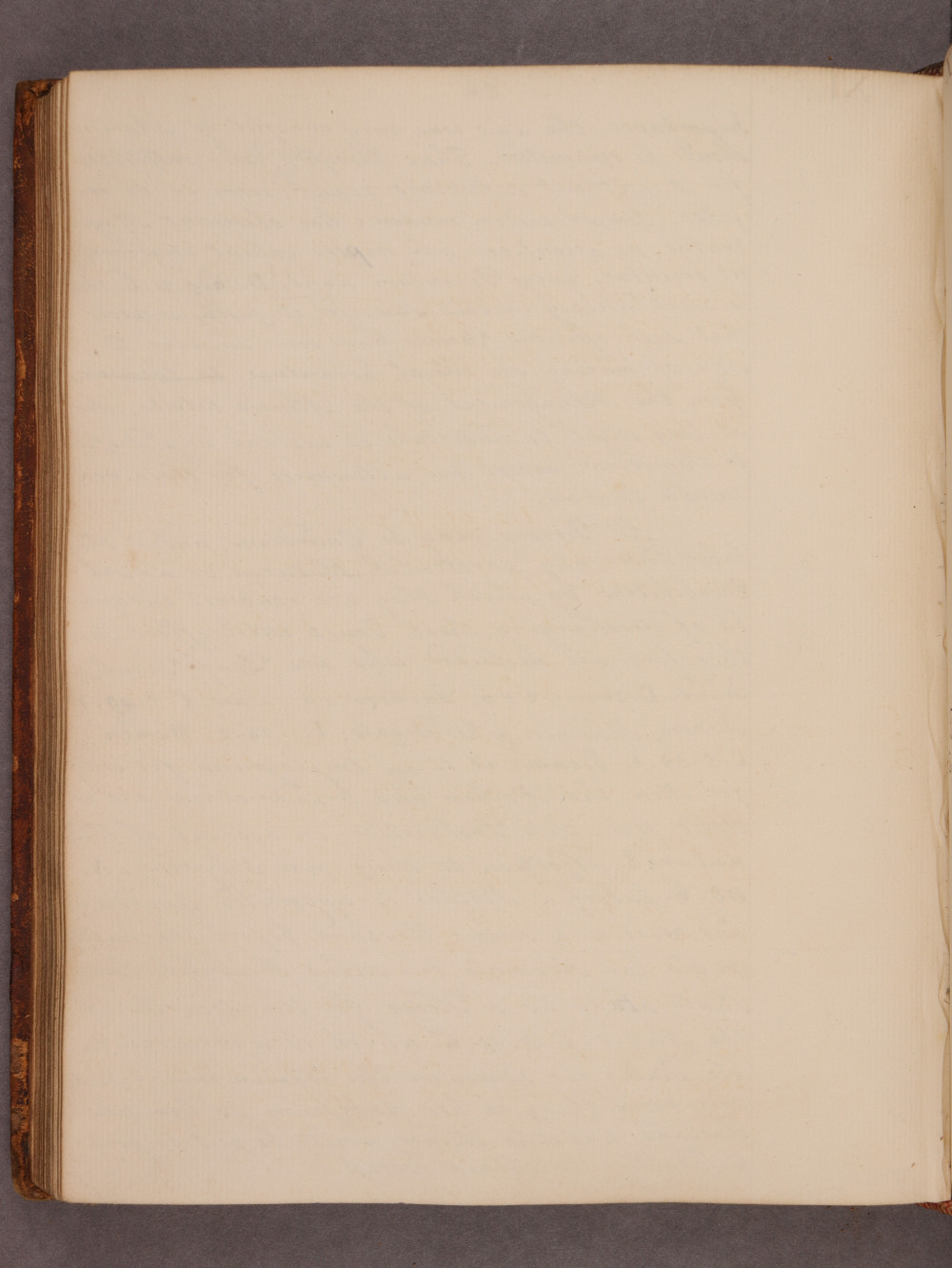Folio 86 verso
