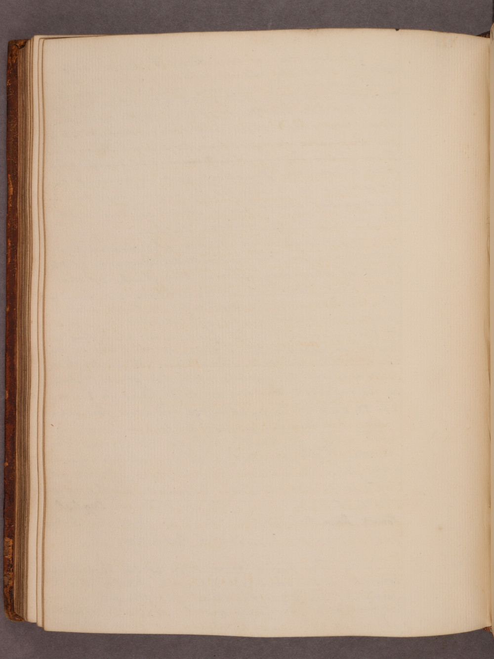 Folio 93 verso