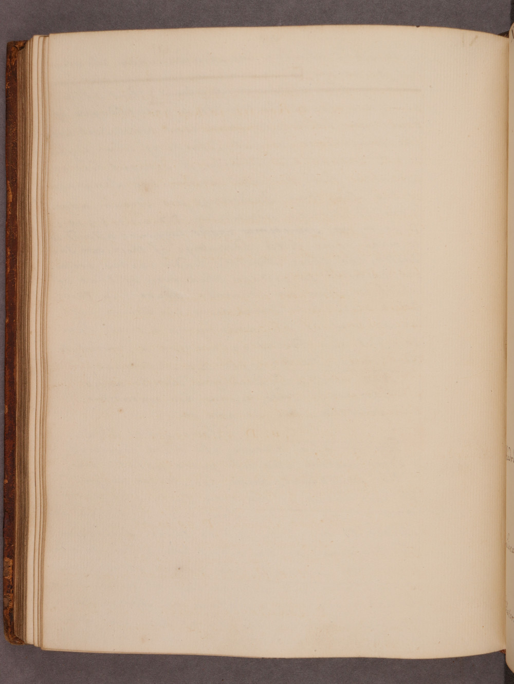 Folio 95 verso