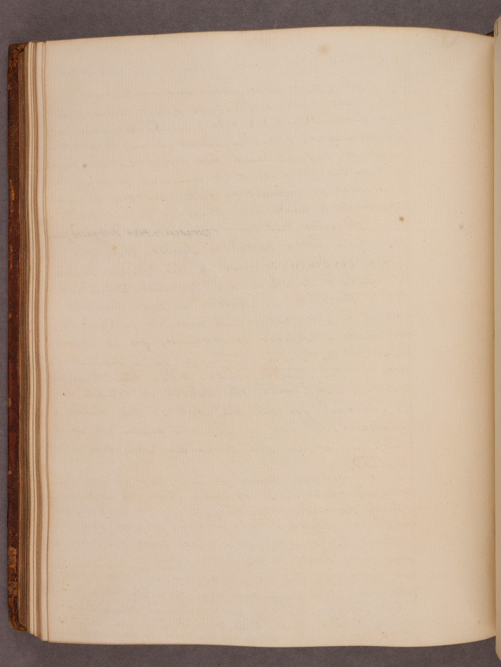Folio 104 verso