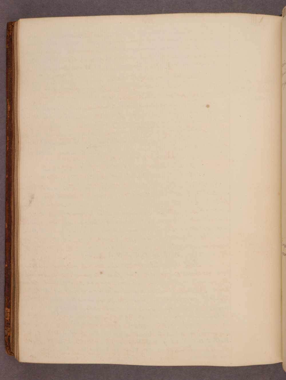 Folio 119 verso