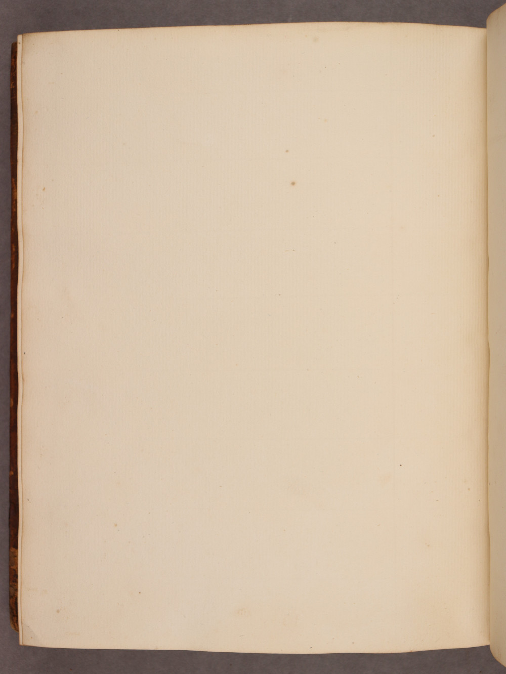 Folio 134 verso