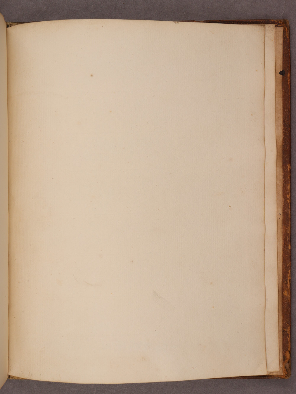 Folio 135 recto