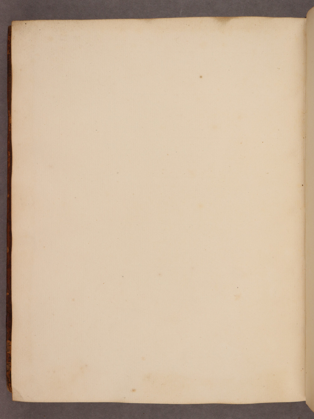 Folio 135 verso