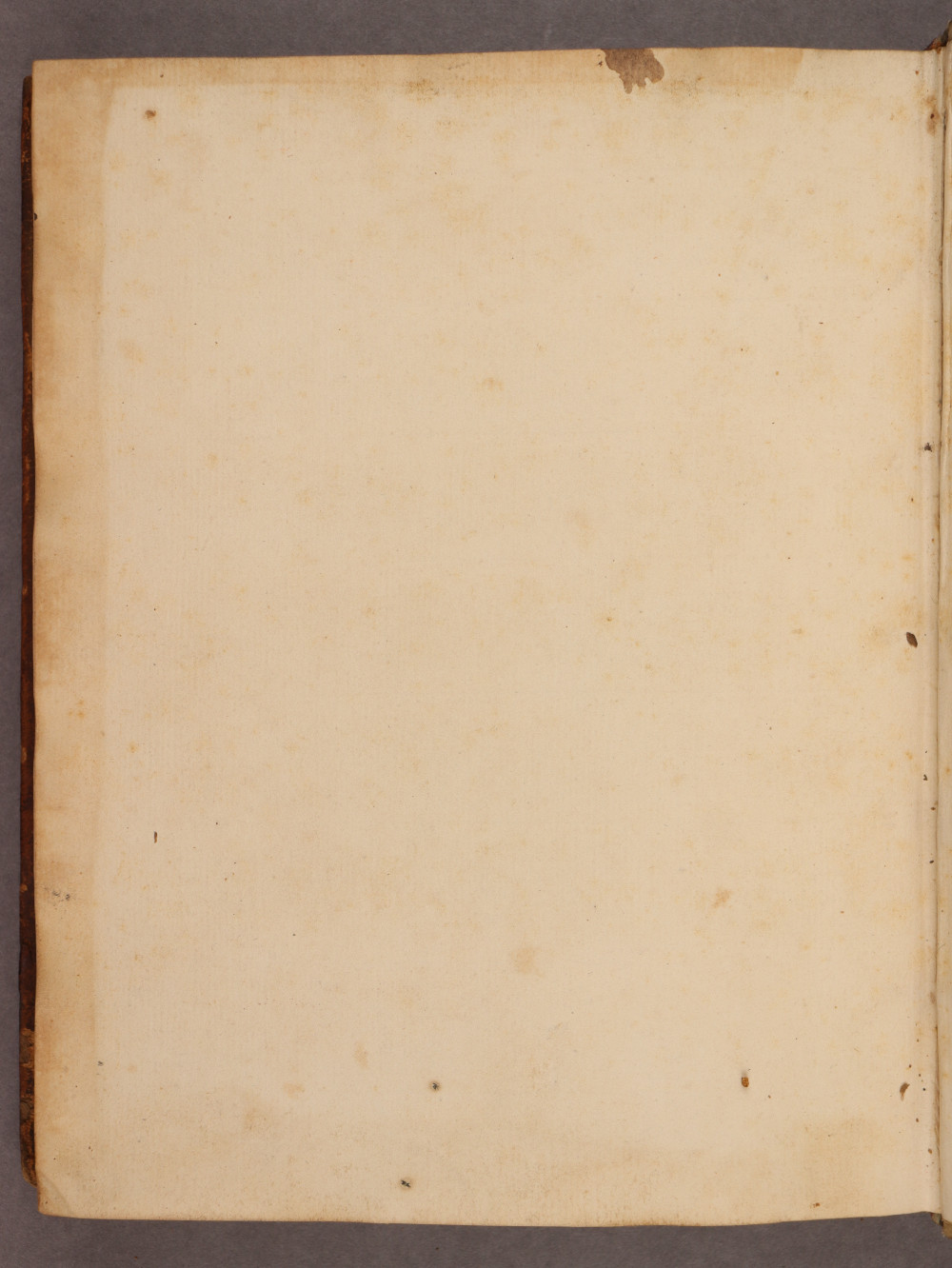 Folio 136 verso