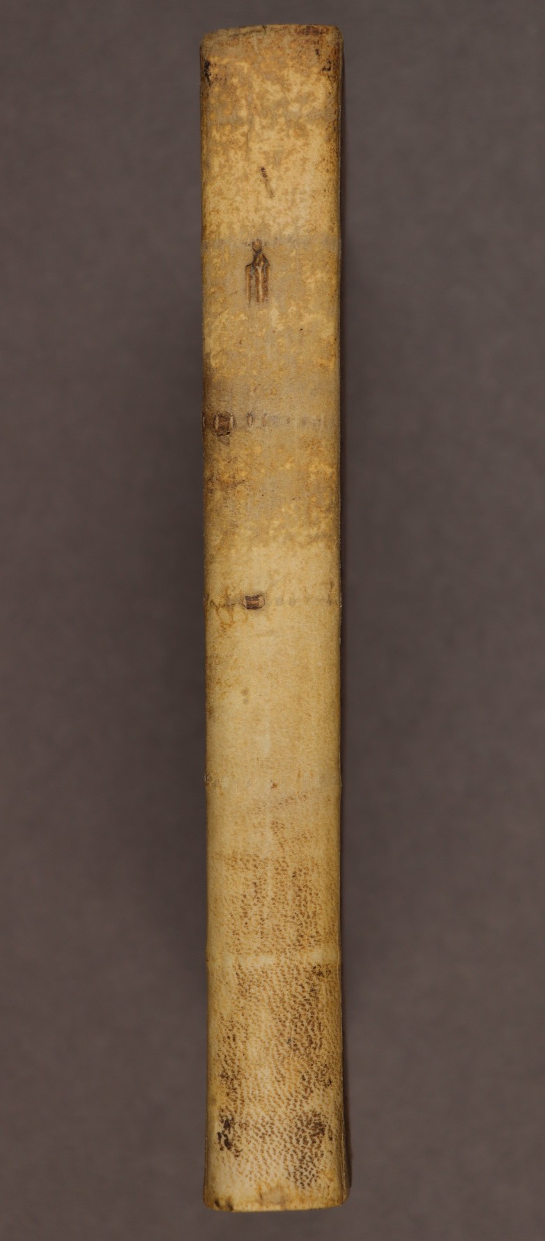 Spine