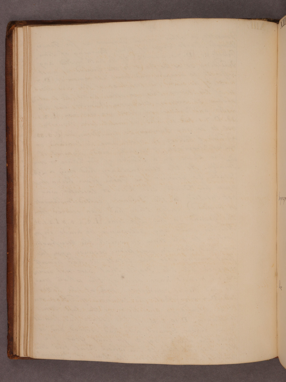 Folio 19 verso