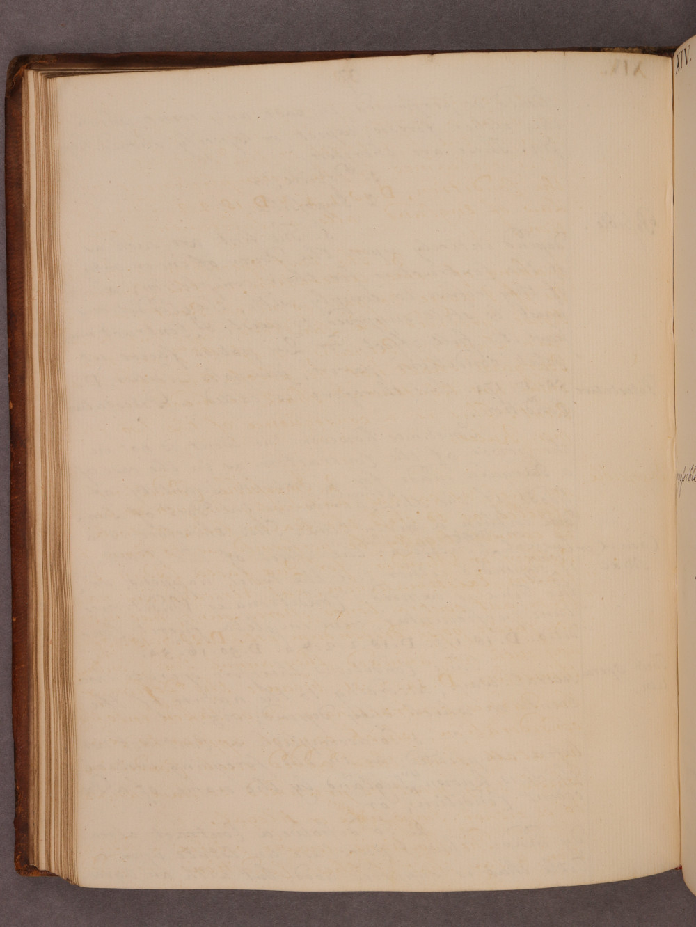 Folio 37 verso