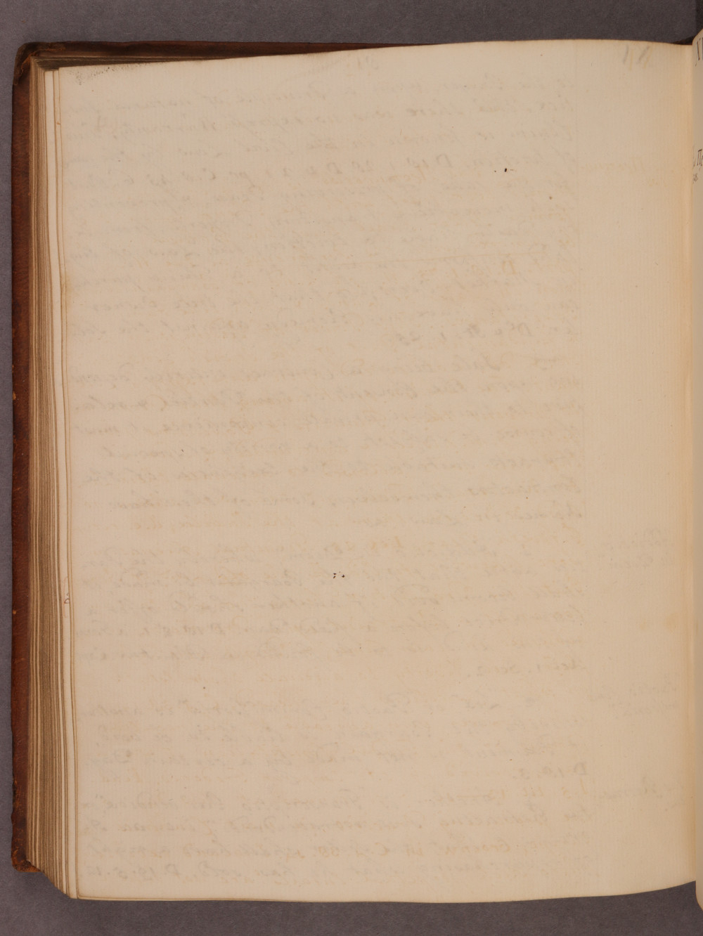 Folio 81 verso