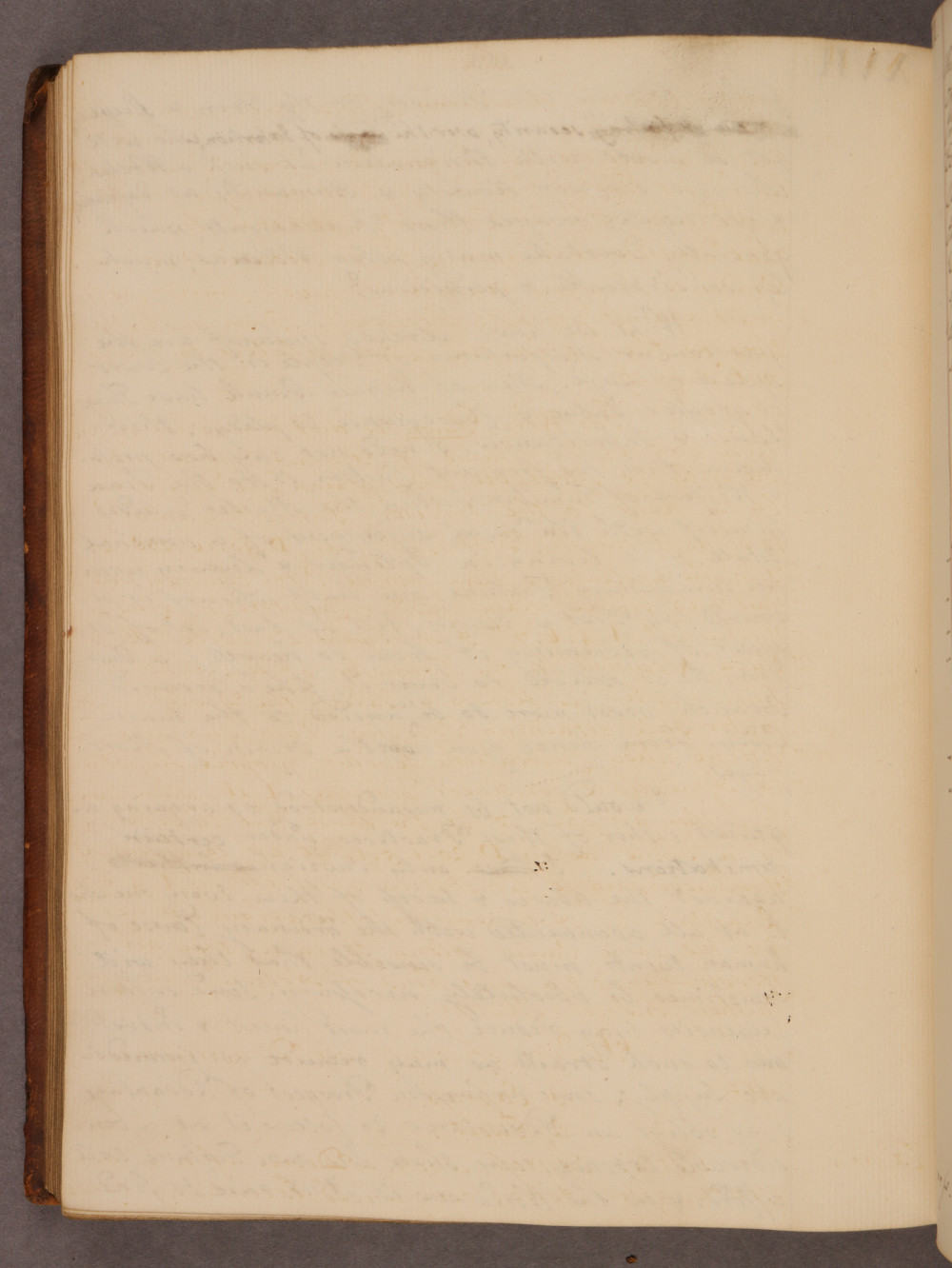 Folio 113 verso